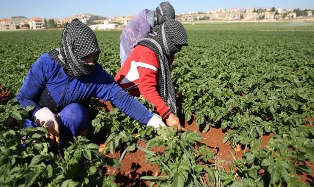 agriculture-workers-girls.jpg