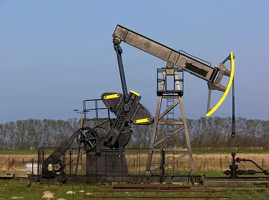 9528.webp